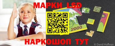 mdpv Ярославль