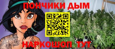 mdpv Ярославль
