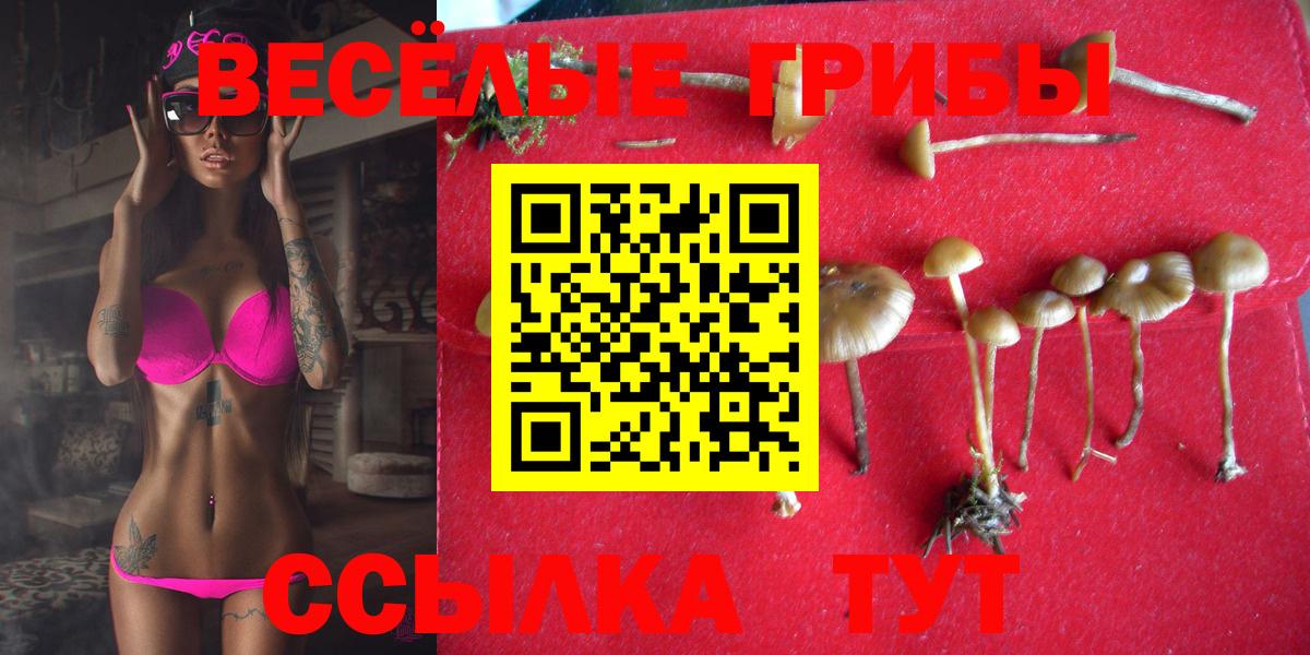 Псилоцибиновые грибы ЛСД Верхняя Пышма