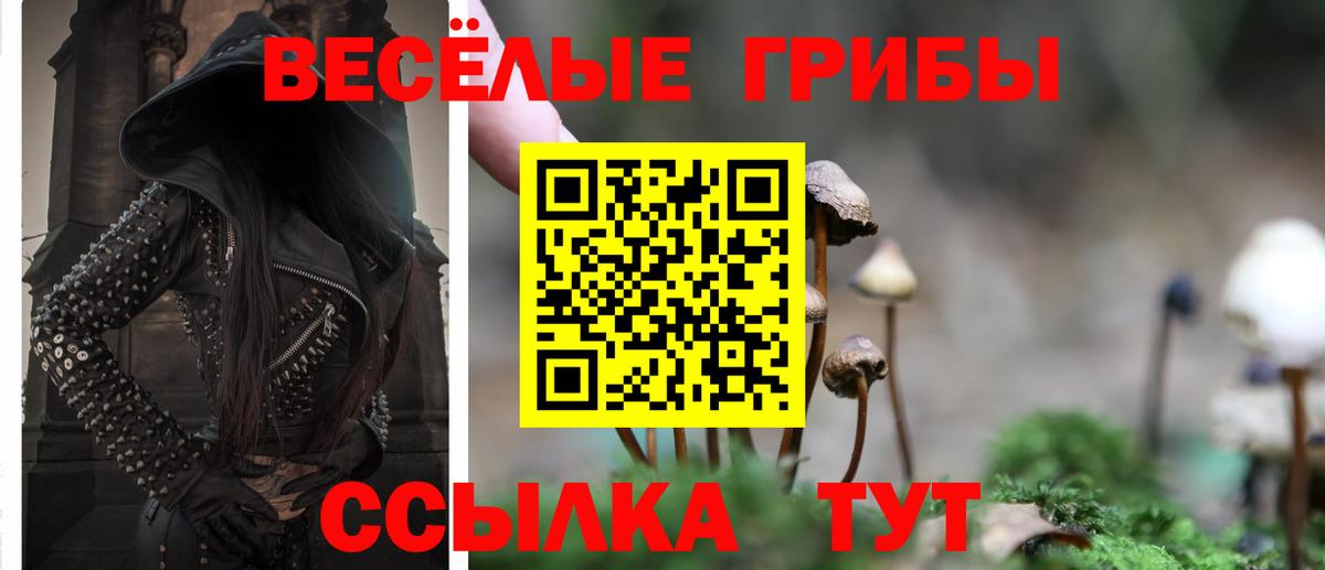 Галлюциногенные грибы мицелий  Вход с VPN  Верхняя Пышма  Псилоцибиновые грибы Psilocybine cubensis 
